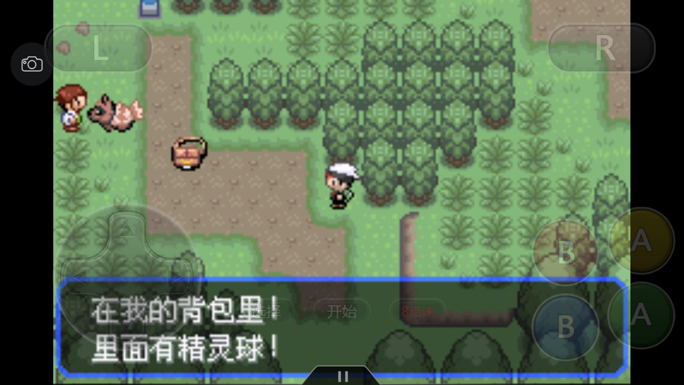 《口袋妖怪之究极绿宝石4》一周目攻略（一）