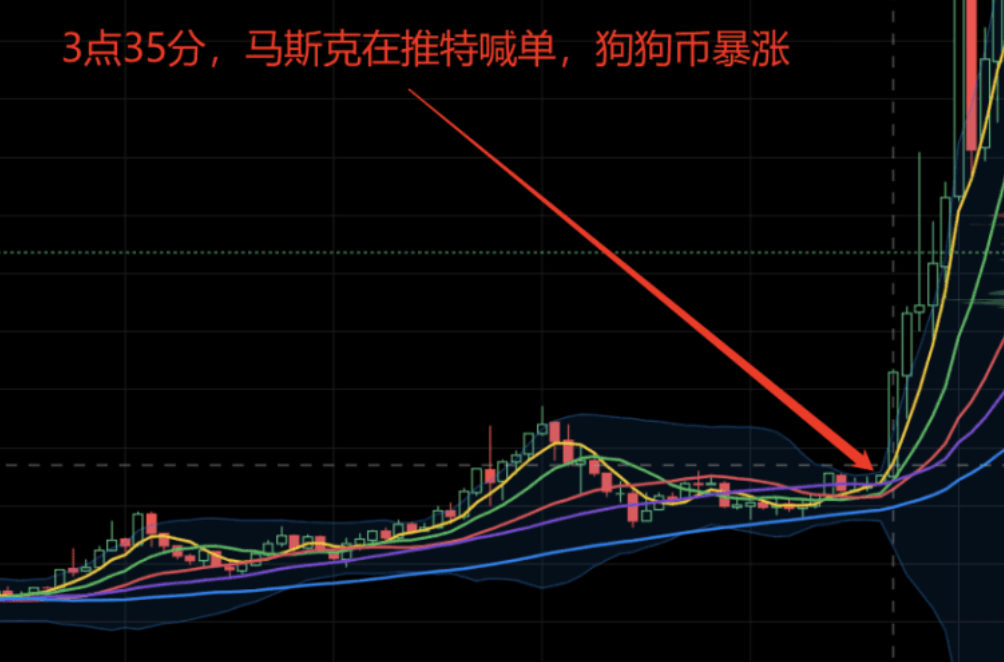 币圈疯了：炒完狗币炒屎币，下一步是炒LowB？