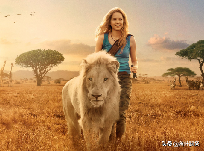 狮王争霸,这7部狮子经典电影,哪只是你喜欢的狮子?
