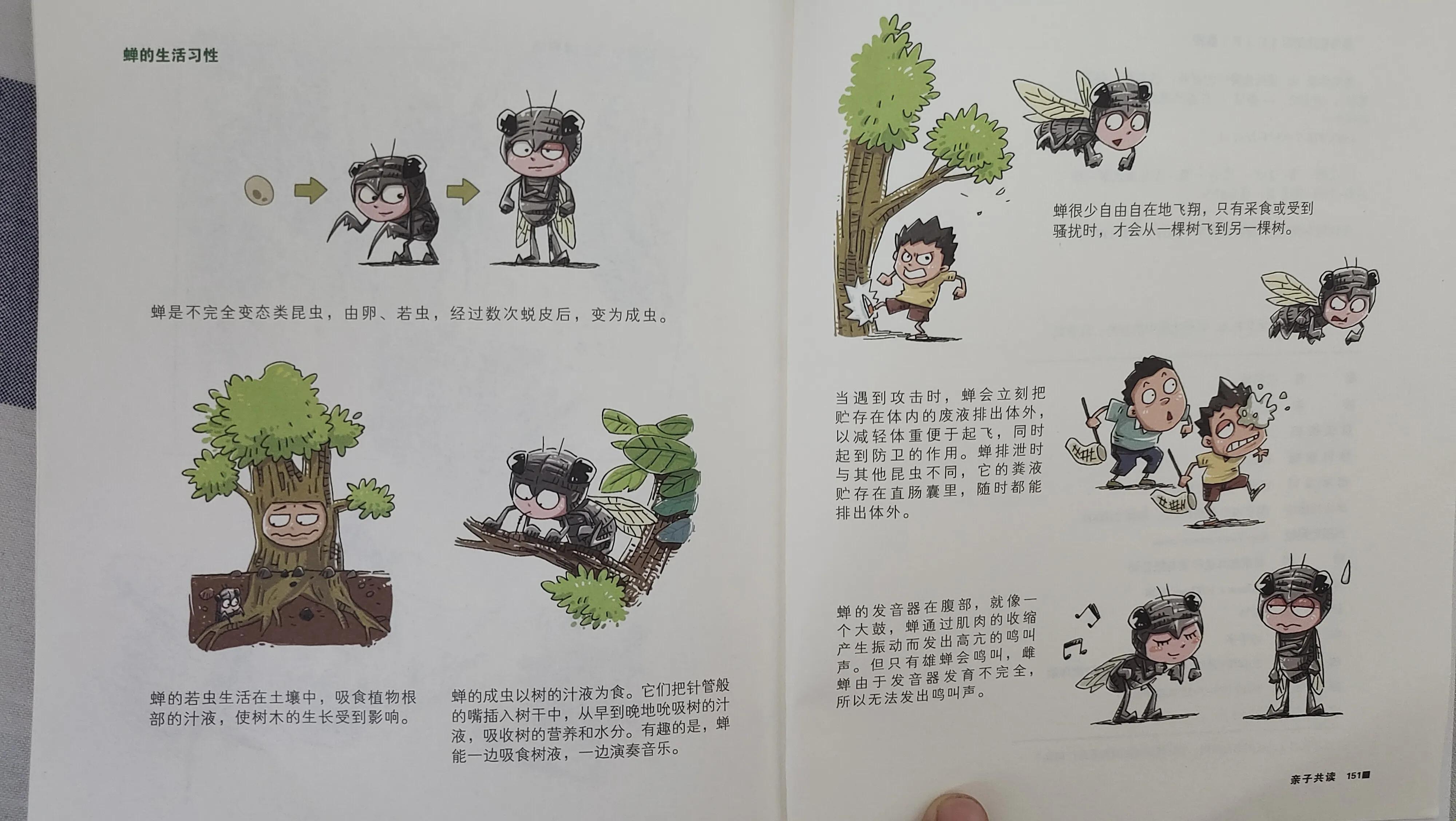 《酷虫学校》当屎壳郎优雅的走上课堂，生动的昆虫科普就开始了