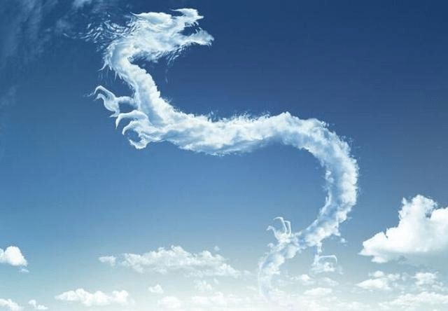 共5种可能性深度分析