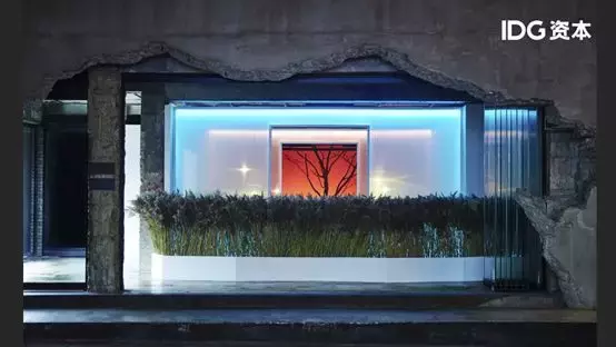 江小白阿芙Roseonly的底层方法论