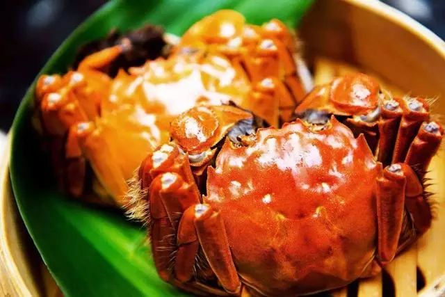 中国人是从什么时候开始吃螃蟹的？吃的是什么蟹？