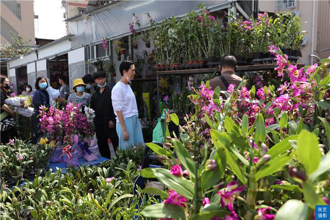 广州花卉批发市场(春节到,逛广州最大的岭南花卉市场,买盆年花就过年)