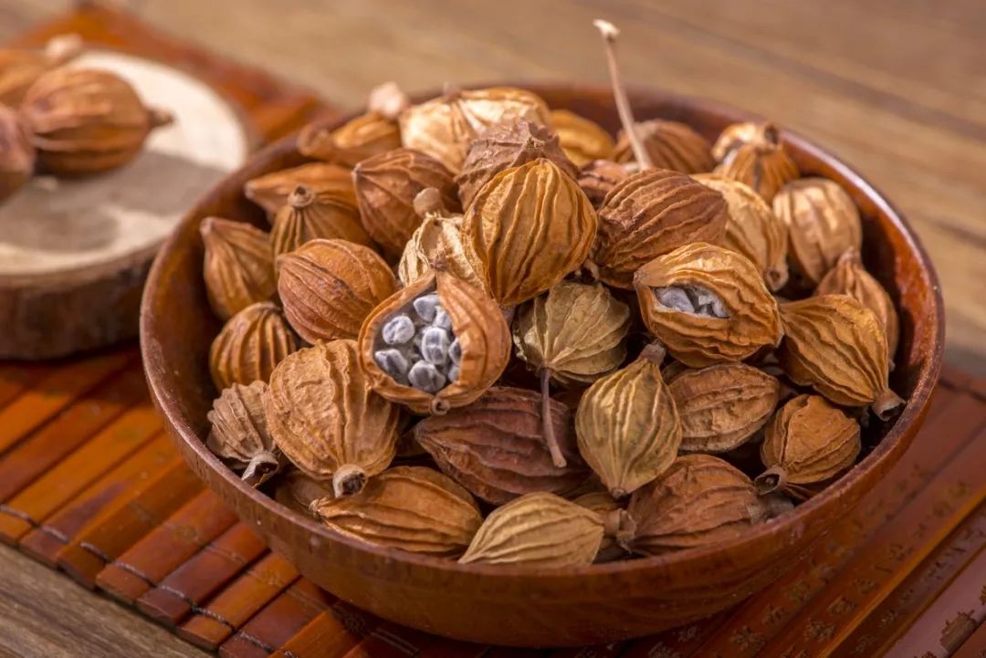 香砂为多年生姜科植物的果实或种子,除了可以药用之外,还能当做调料