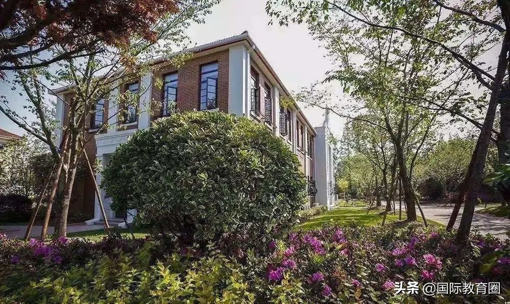 孙俪儿子在耀中、王菲女儿上德威......明星最喜欢哪些国际学校？