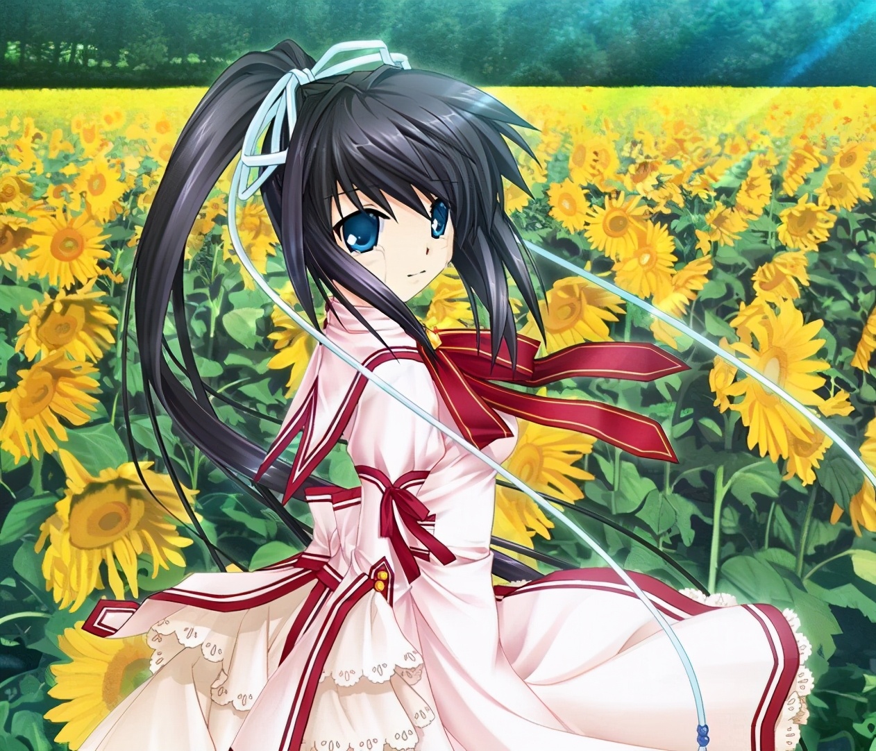 rewrite田中罗密欧(三位大神联手的封神)|三国之家