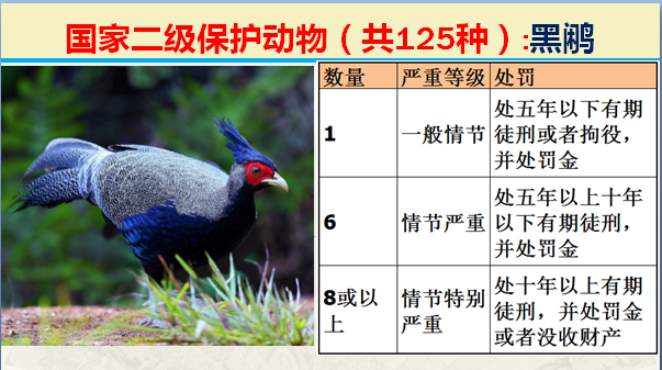 国家保护动物分几个等级（125类二级野生保护名录）