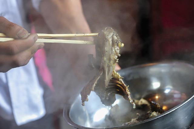 手抓饭是哪个民族的（手抓饭是哪个民族的特色食品）-第19张图片-科灵网