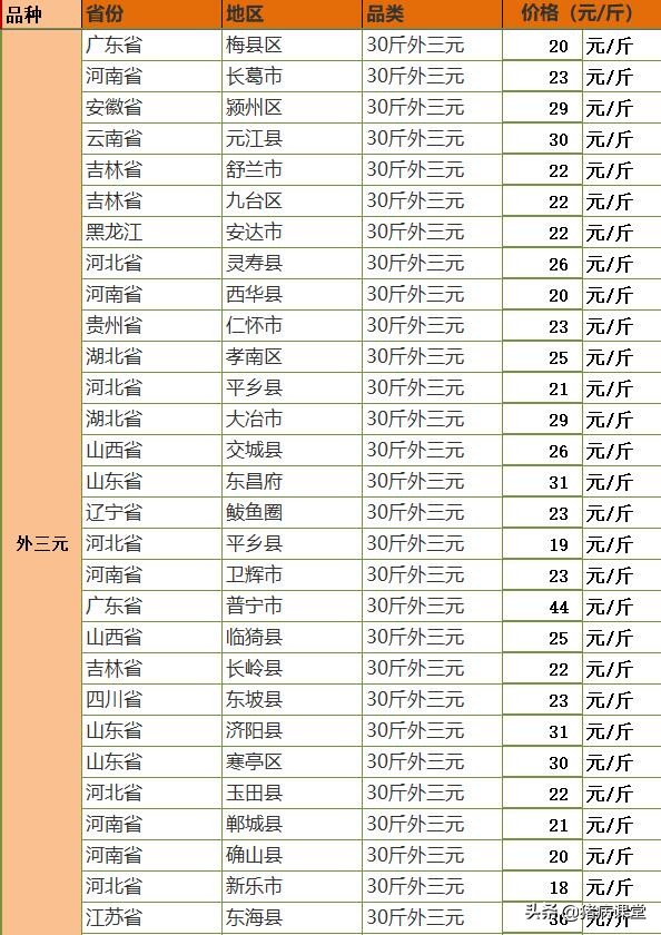 今日全国仔猪新价（全国今日仔猪价格表）