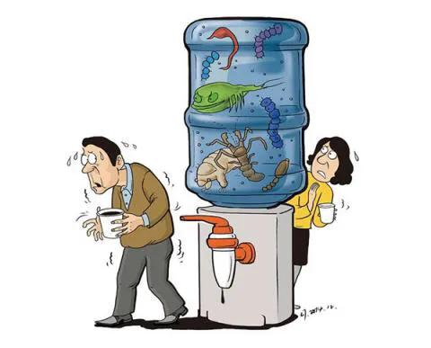 不要买净水壶!买了你会后悔!
