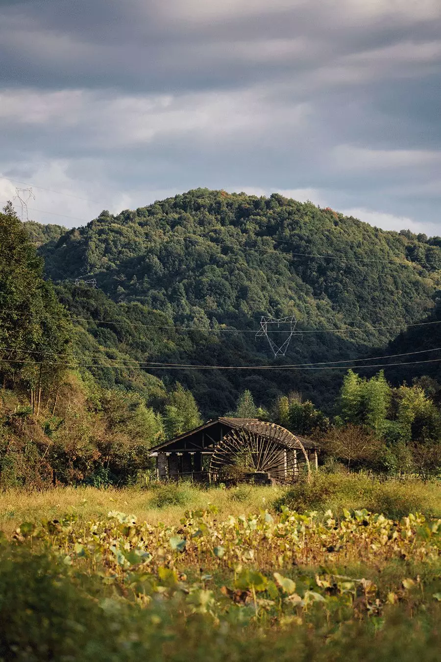 归隐田园,中国人永远的梦