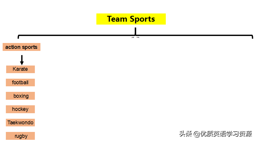 Sports(英语原版阅读：Team Sports)