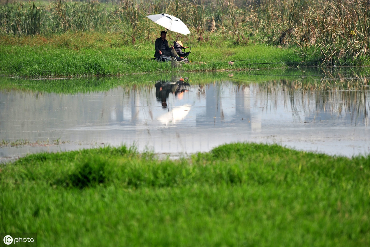 高考语文 | 历年高考考查成语汇编，速度来读！