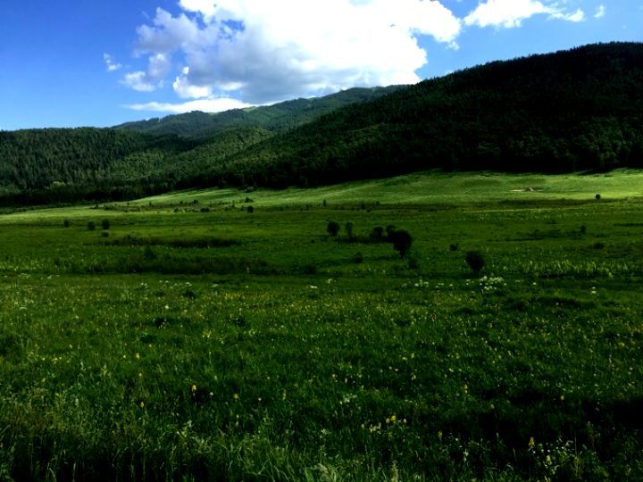 令人难以忘怀的梦幻禾木