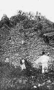自1924年雷峰塔倒塌至今，共计发现了多少件珍宝？