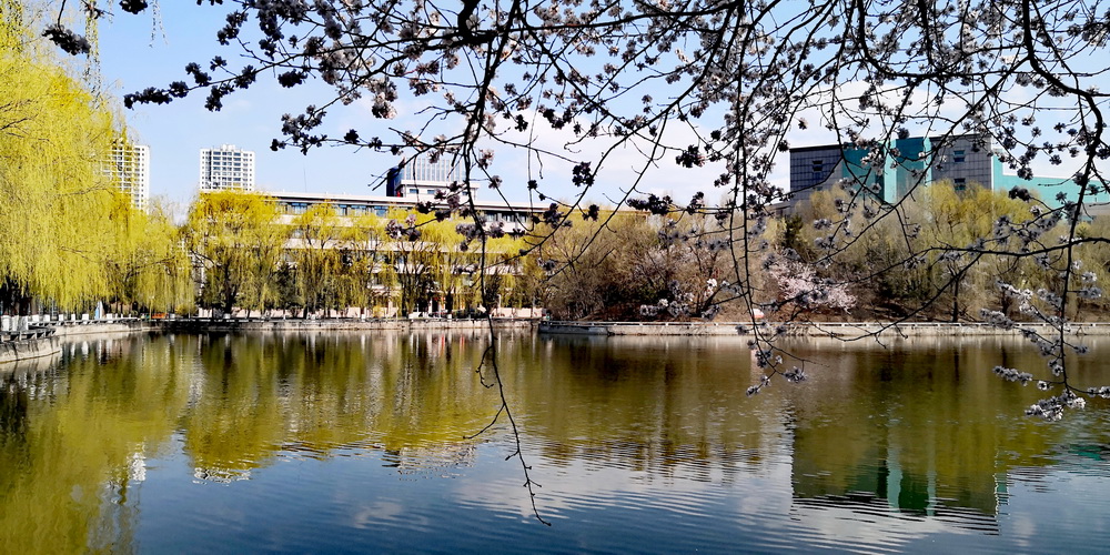 内蒙古大学招生计划，从211到双一流，再到教育部和自治区合建