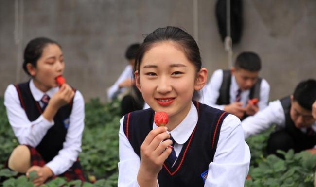 教育部传来好消息，民办院校或将转为公办，老师：能直接拿编制吗