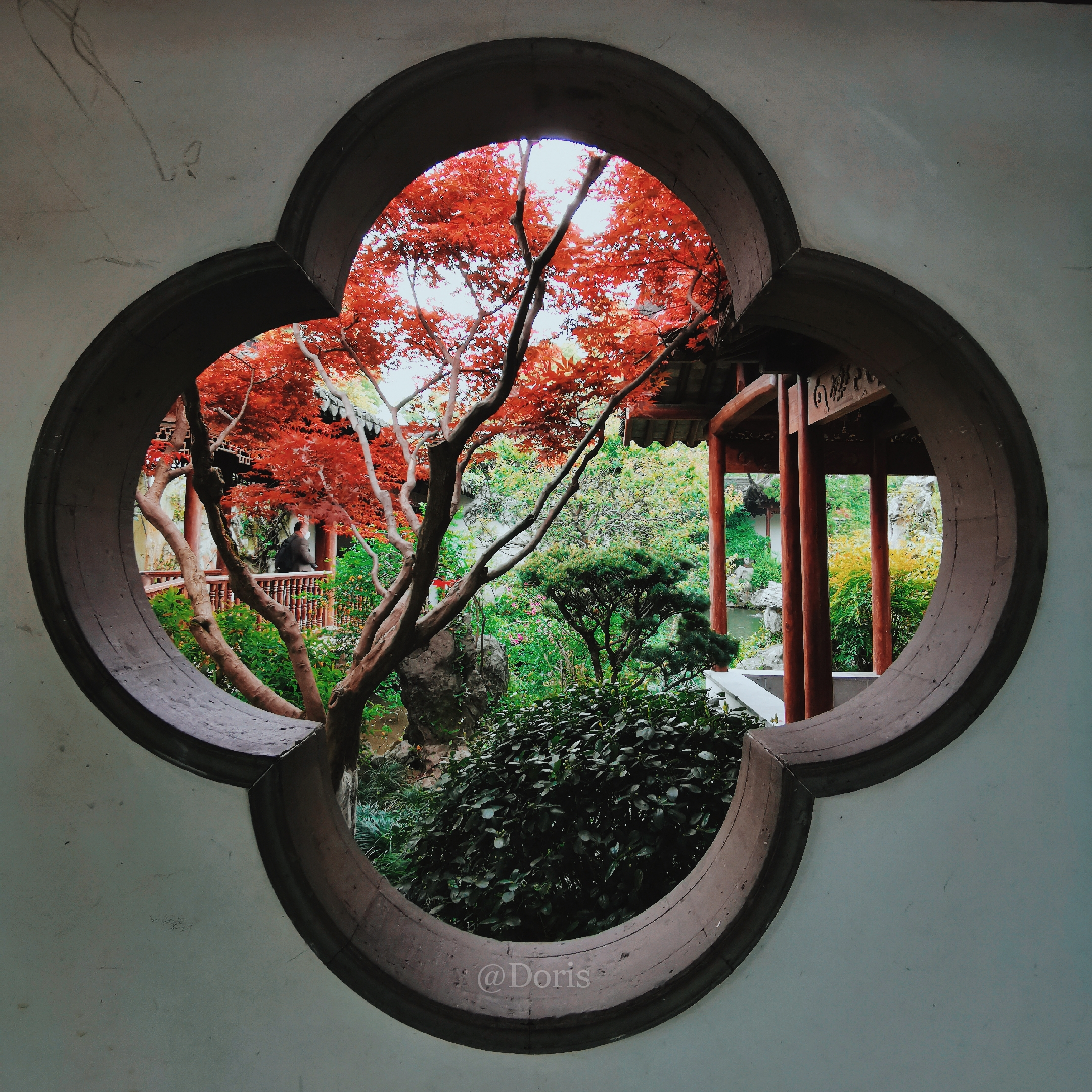 杭州的宝藏景点，如诗如画如仙境，带你看别样的西湖之美