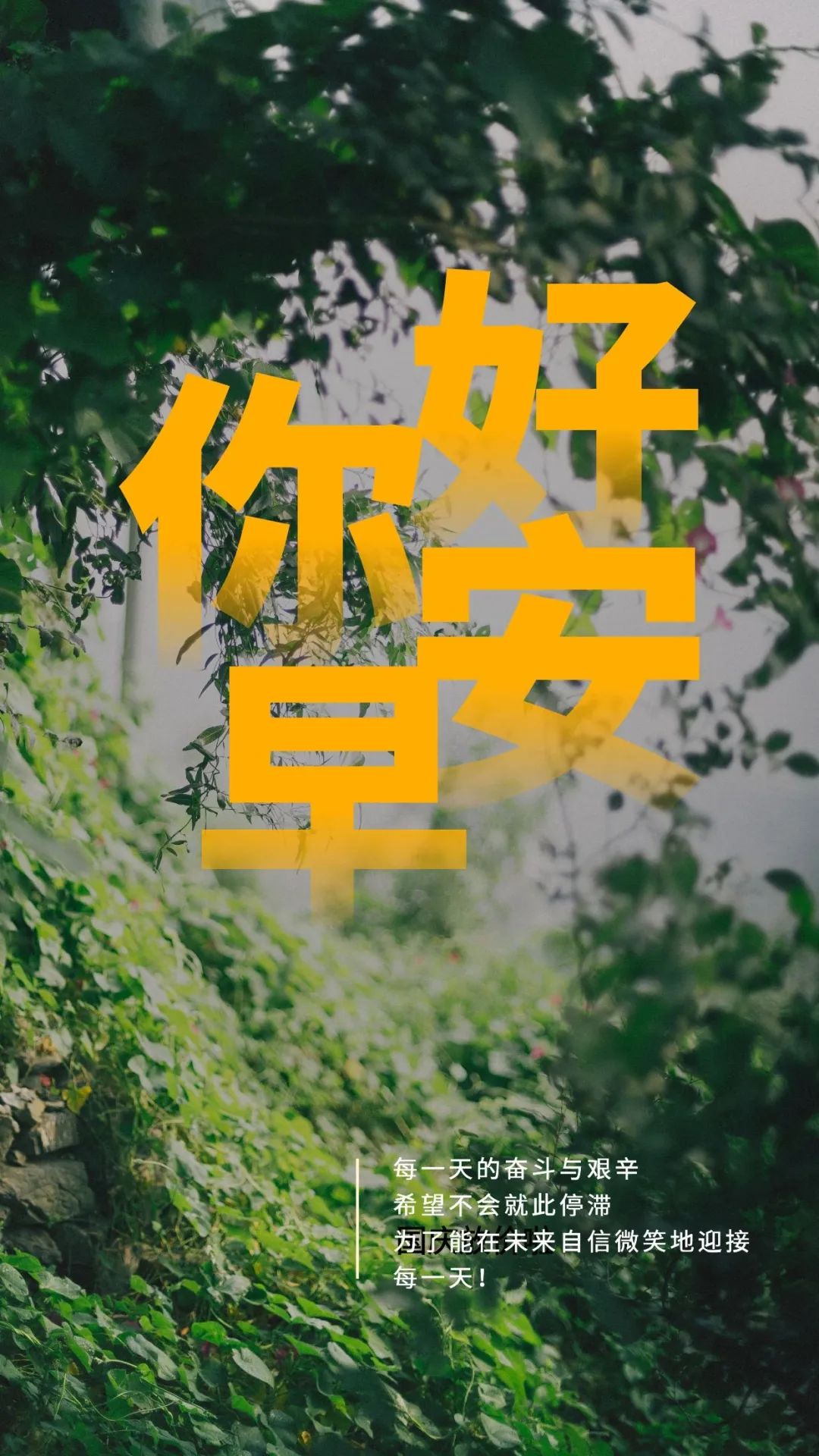 周六温暖早安图片日签激励带字:每天都值得盛装出席,努力变得更美好