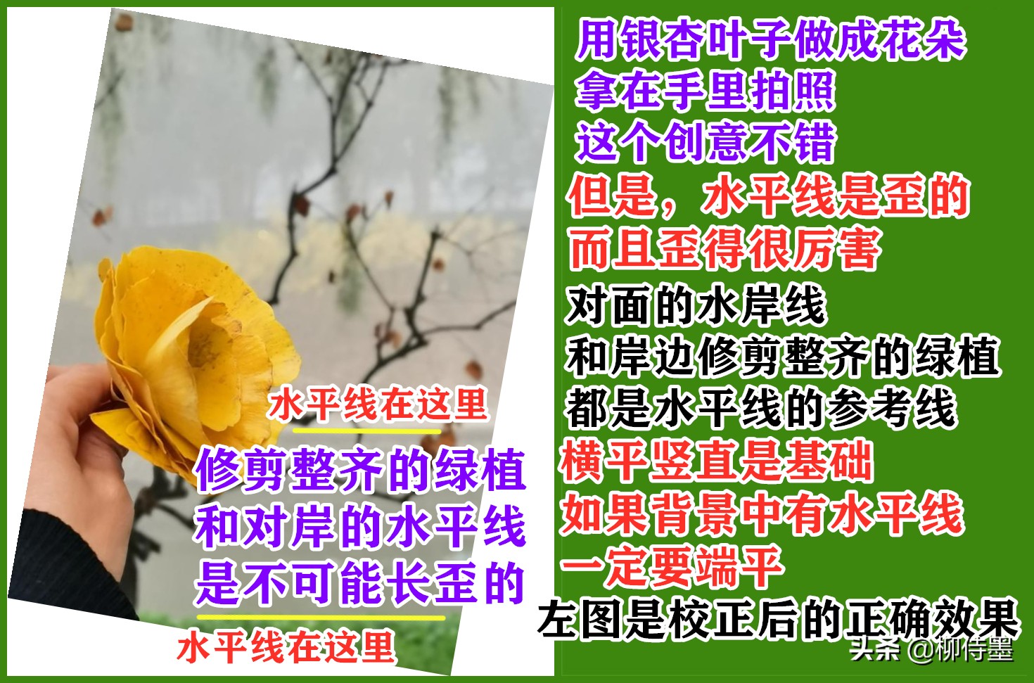 秋天景色美不胜收，每天学点摄影技巧，拍好“一叶知秋”