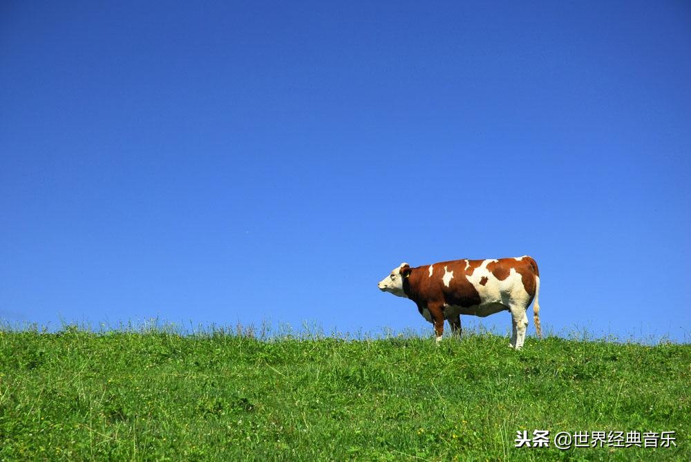 十首最火的草原歌曲（十首最火的草原歌曲歌词）-第8张图片-昕阳网