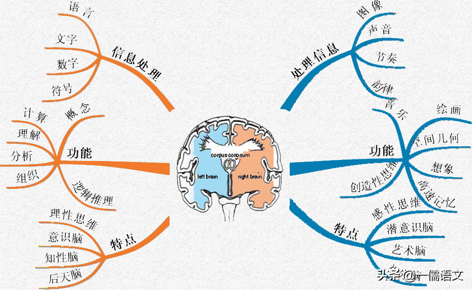 语文读书方法很重要，这三种精读法，大部分老师却没有教给学生