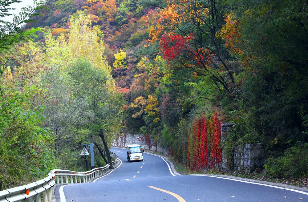 太行天路，五彩斑斓，峡谷如画，秋叶如诗