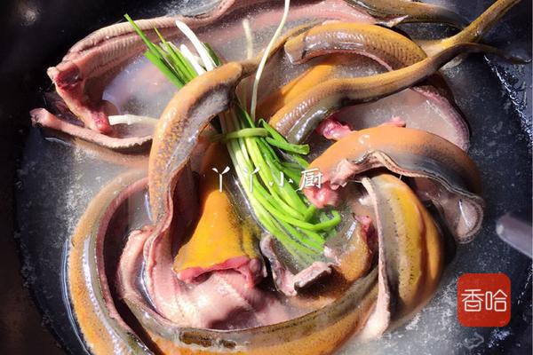 红鳝鱼可以卖多少钱(伏天鳝鱼赛人参) - 价格百科