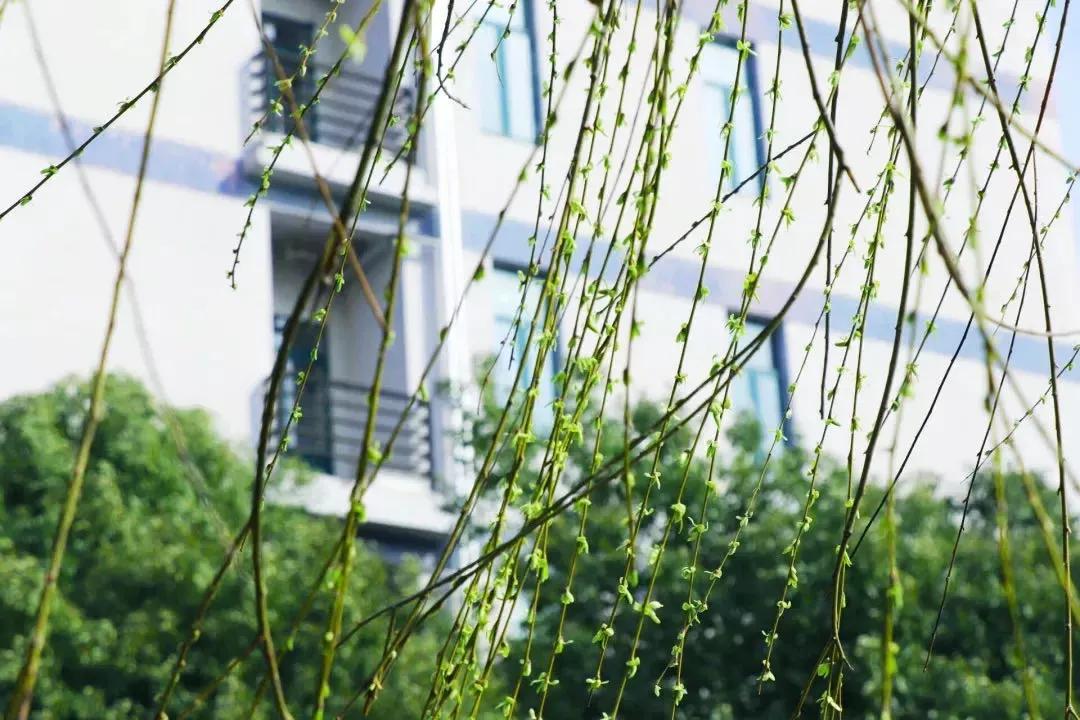 江苏省高校（五十一）南京航空航天大学金城学院