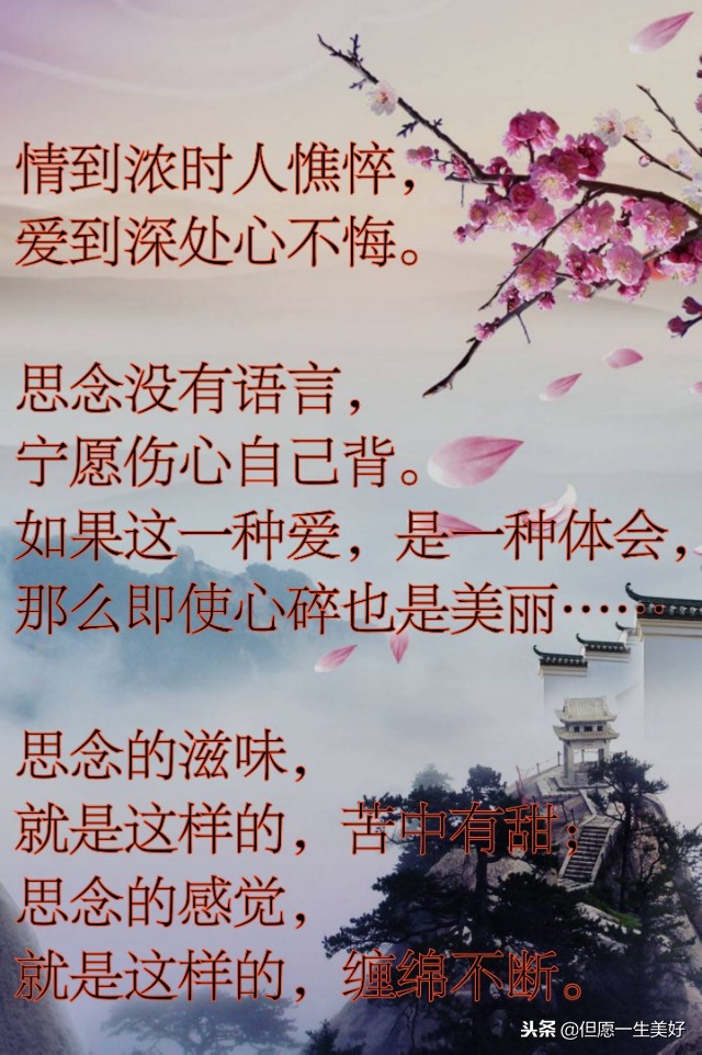 有一种深爱,叫不打扰,有一种想念,叫不联系