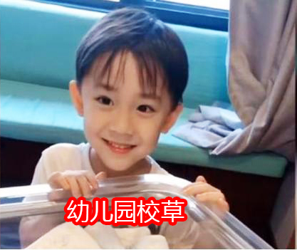 中国十大小学校花（各年级）