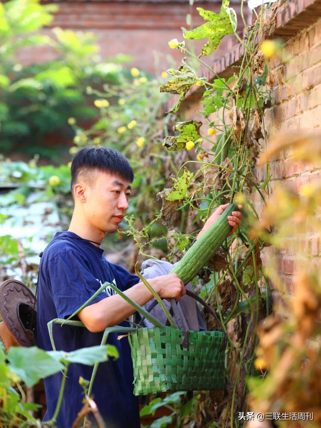 那些回到乡村的年轻人，现在过得怎么样？