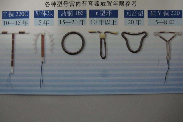 元宫环图片(首批) - 赤虎壹号