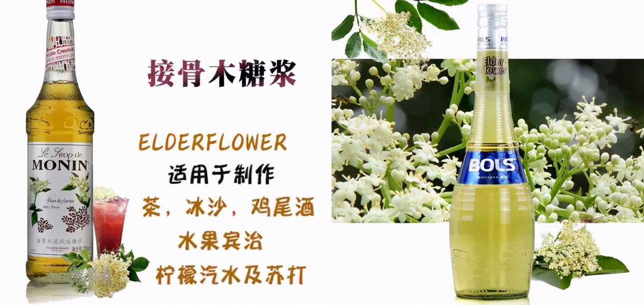 接骨木圖片,中藥接骨木圖片