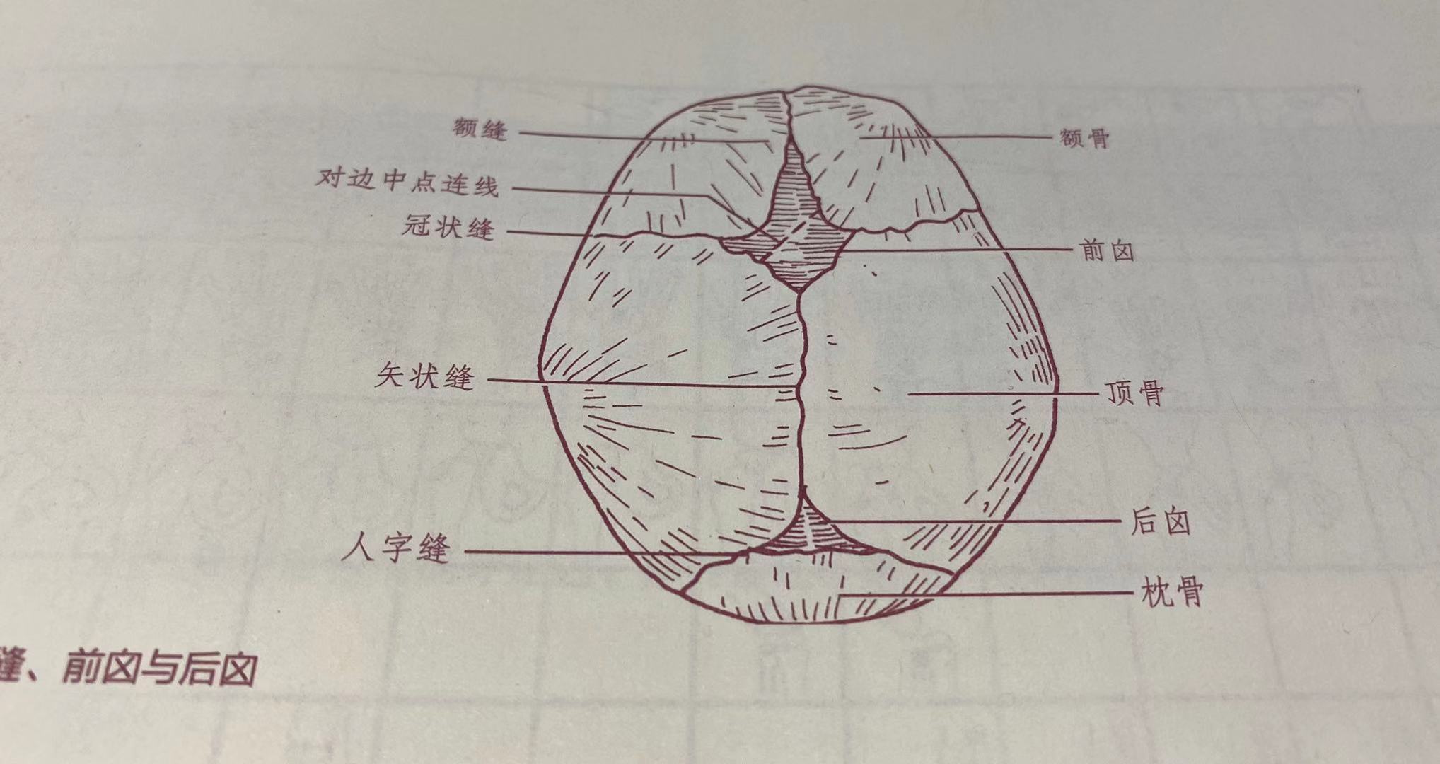 宝宝囟门什么时候闭？太早或太晚都有问题？还真不一定