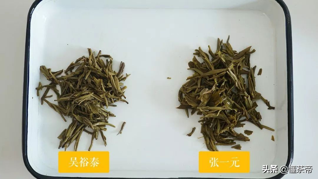 爱茉莉花茶的看过来，张一元PK吴裕泰，评测告诉你哪家茶更好