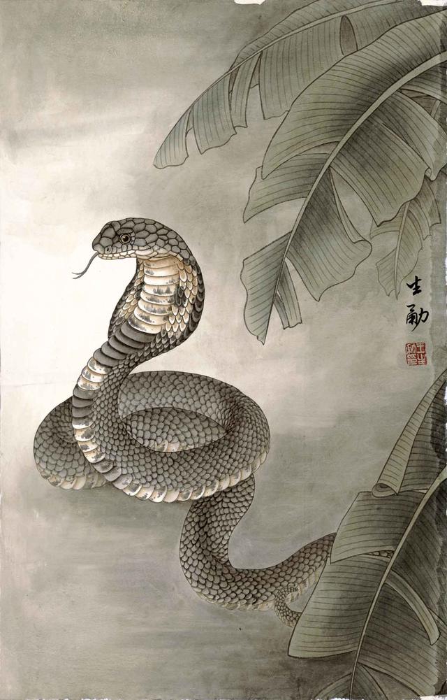 也并不是长的可怕,但最近科学家们研究证明,曾经捕获的一条网纹蟒蛇