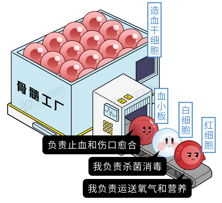 为什么越来越多的孩子得白血病？背后5个原因不容小觑，要远离