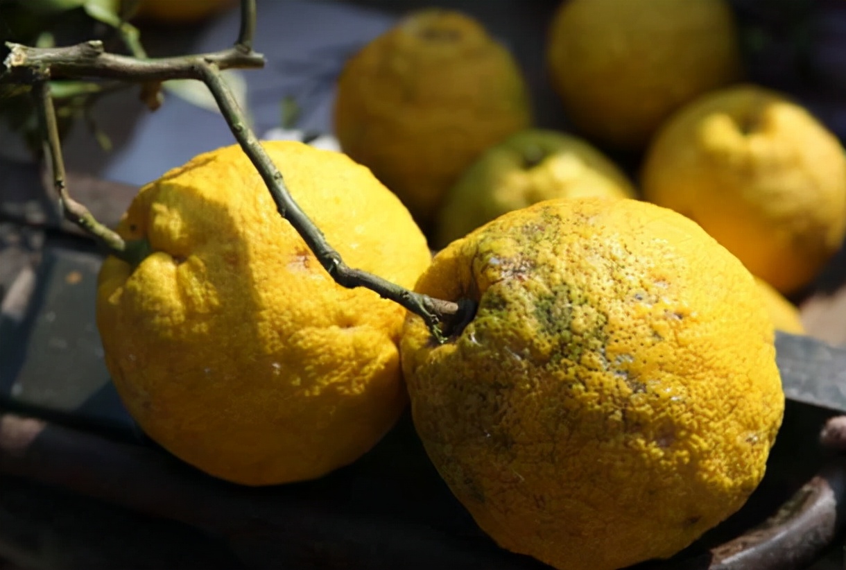 就连一些南方地区香泡也是比较陌生的,只因它是一种较为小众的水果