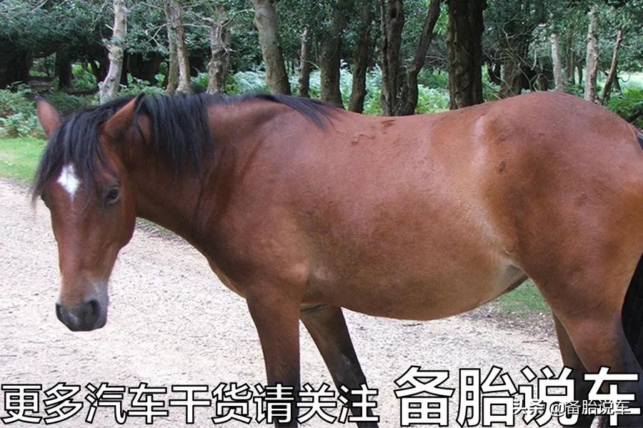 6年不换防冻液，省钱还是毁车？要分情况对待