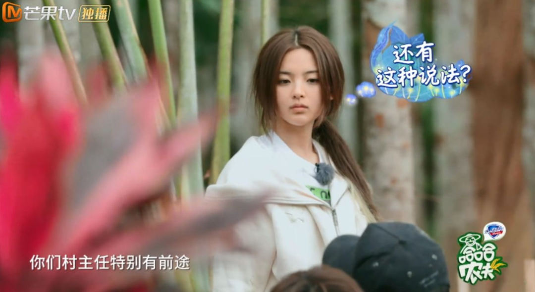 豌豆公主鞠婧祎，一场流行人设与偶像自我认知的冲突