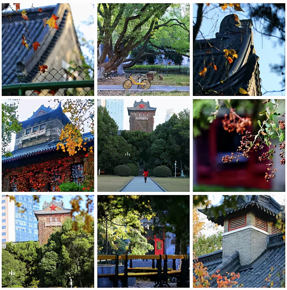 震撼！全国高校最美秋景大PK，哪所高校最最最惊艳？