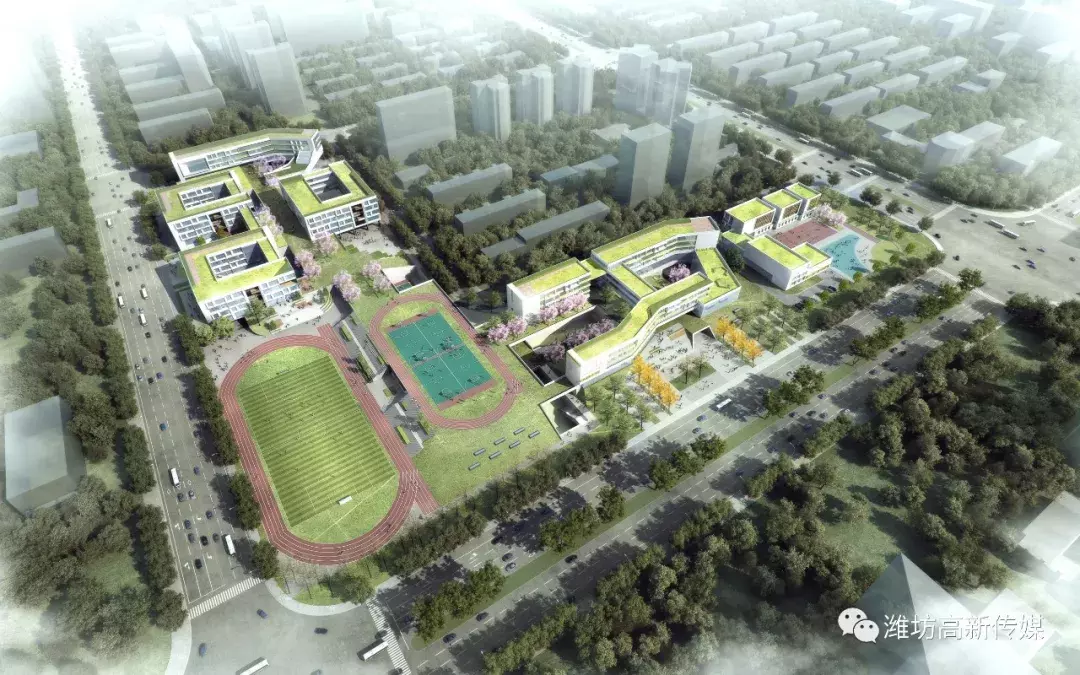扩散！潍坊北海学校分校来了！规划图曝光！校址敲定……