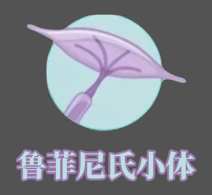 人体最大的器官是什么你知道吗？它对人的重要性你可能没有意识到