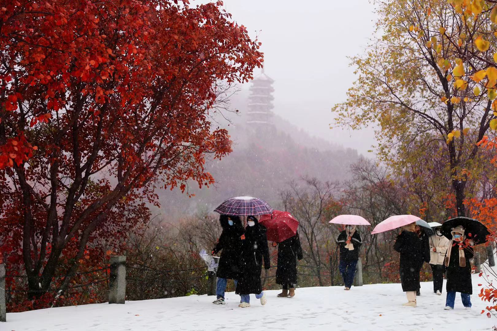 山东7市迎暴雪~雪后十大景点美爆，快来看