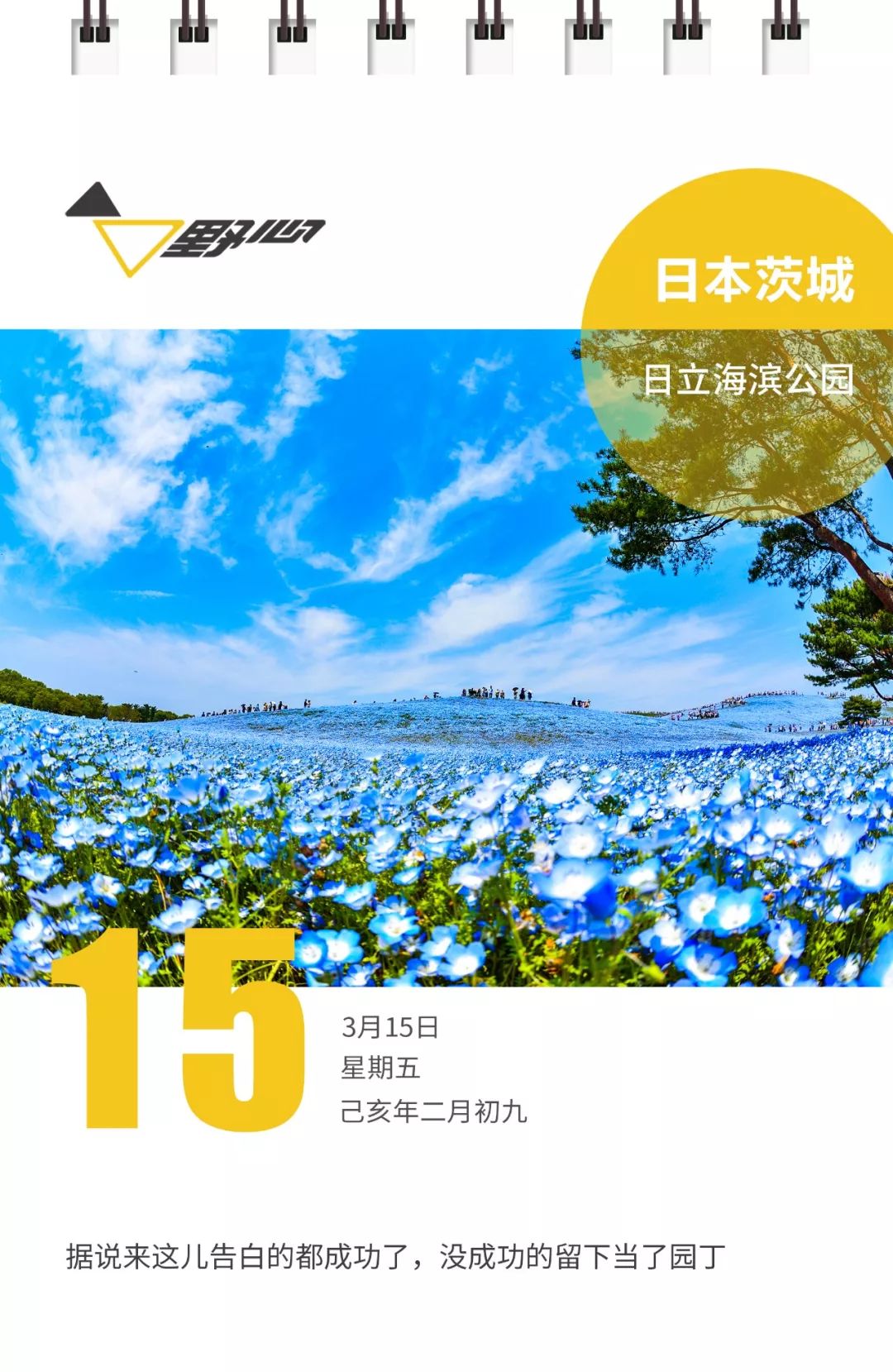 这个公园一年开花11个月，上千种花看不过来，门票才30块