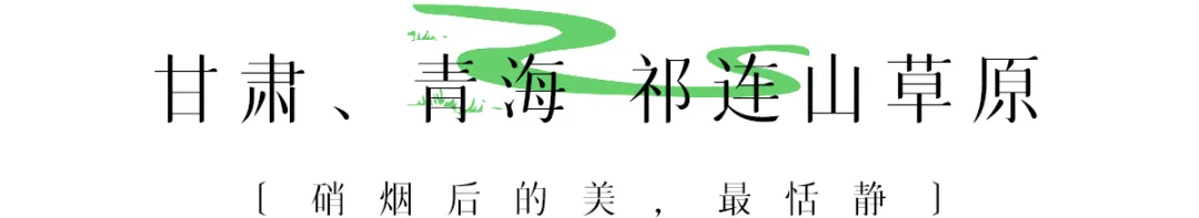 六月，要去草原打个滚