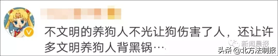 女子遛3只狗不牵绳！湖北男子遭狗撕咬下体受伤严重，缝了30多针