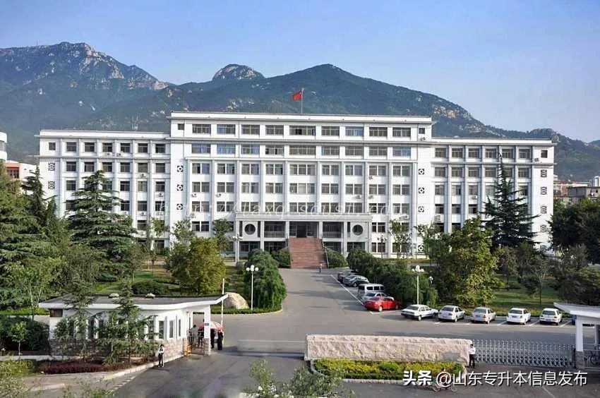 山东专升本各专业对应招考院校分析---计算机科学与技术